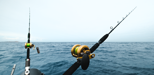 Boat & Trolling